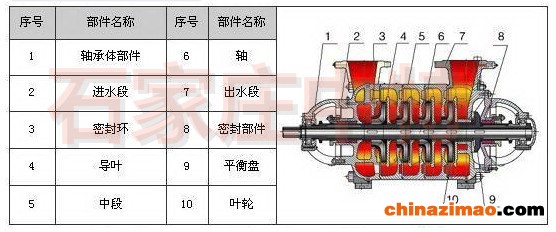 D DG型多级泵结构图