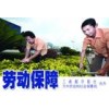 佛山五险办理，异地社保代缴，咨询代缴佛山五险公积金